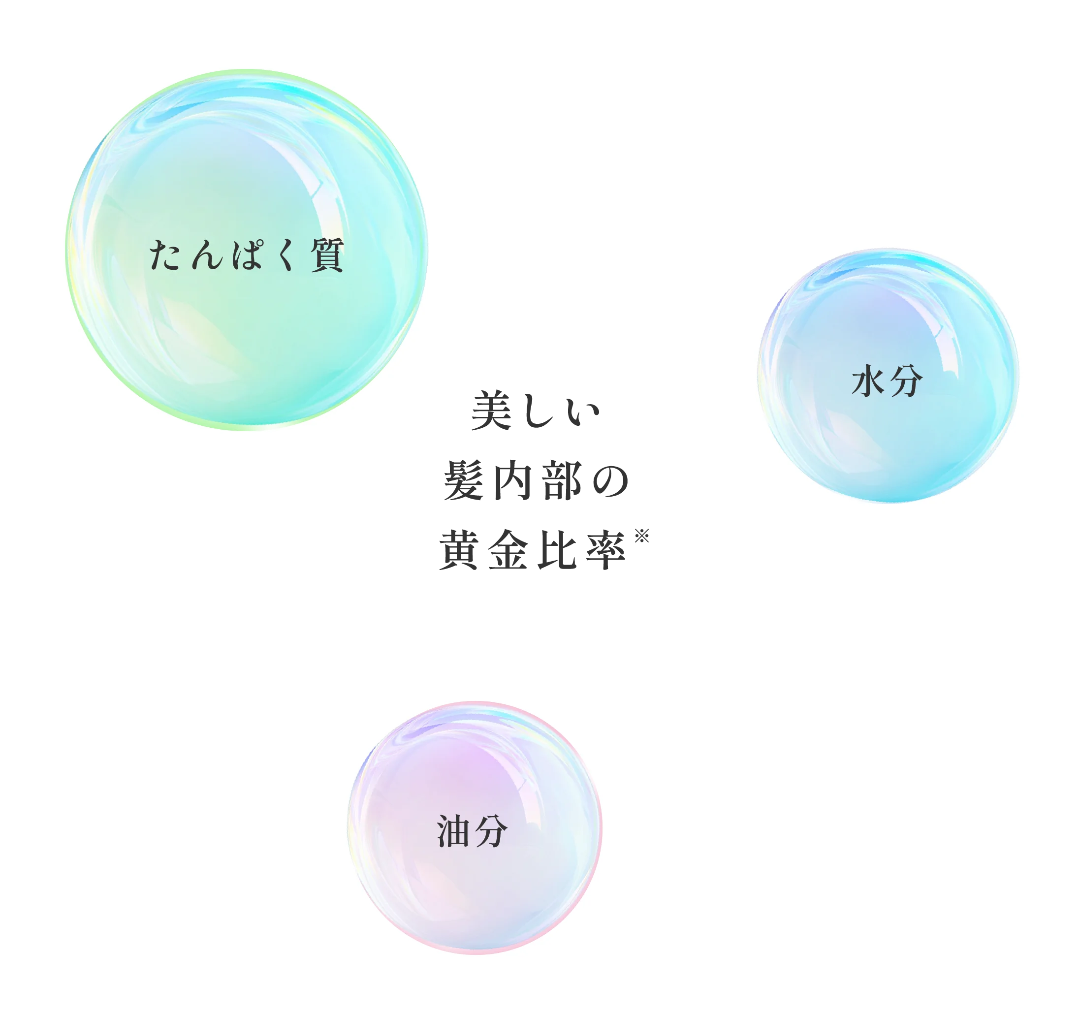 美しい髪内部の黄金比率